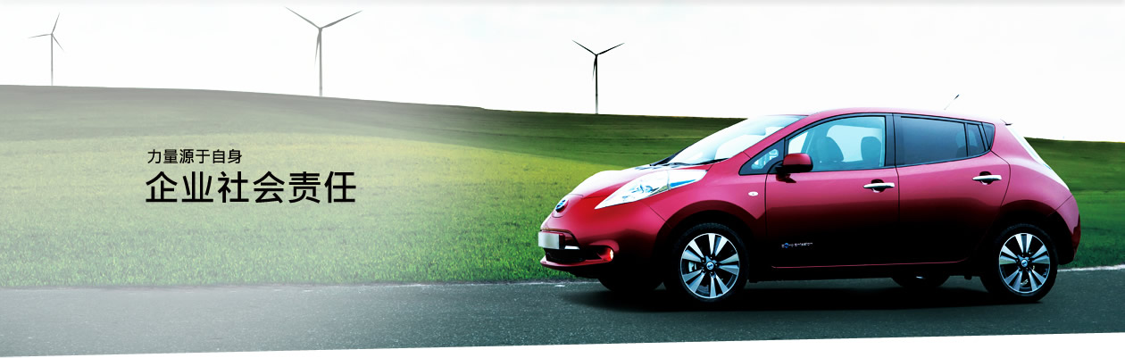 Nissan Desktop Banner